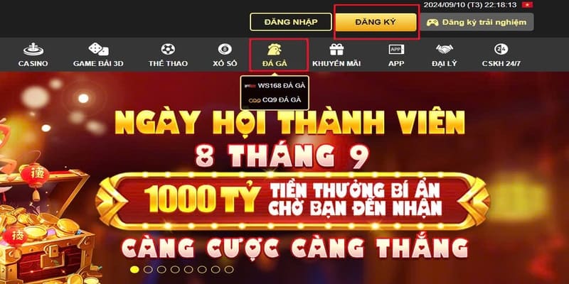 Truy cập King88 và chơi đá gà đơn giản qua vài thao tác